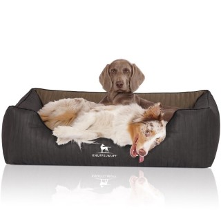 Knuffelwuff Orthopädisches Hundebett Outback aus laser-gestepptem Kunstleder schwarz/ gelb XXL
