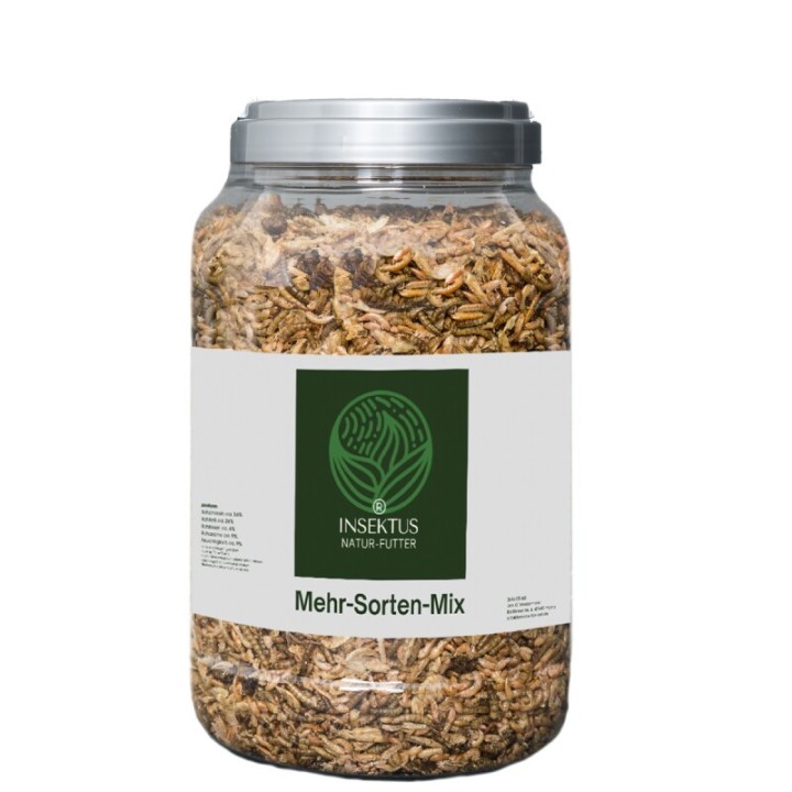 Insektus Mehr Sorten Mix 500 g