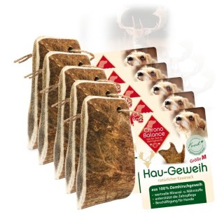 ChronoBalance natürliches Damhirsch Kaugeweih 5xM, 5x