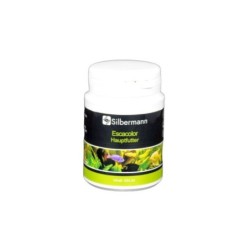 Silbermann Escacolor 250 ml