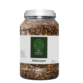 Insektus Seidenraupen 500 g