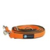 Annyx Führleine Classic Bolt Fun [Oliv / Orange]