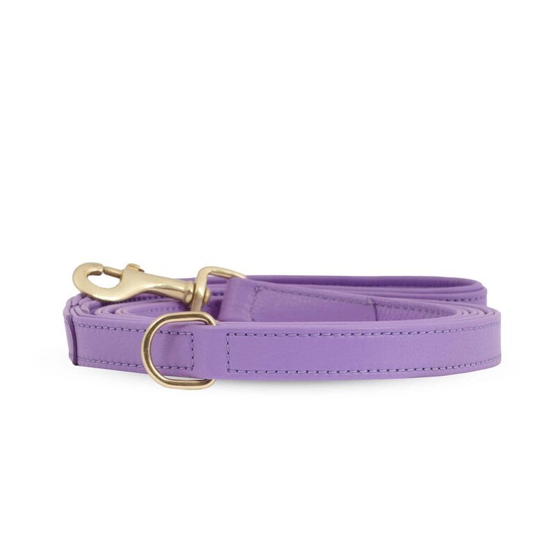 William Walker Hundeleine Plain Lavander S-L