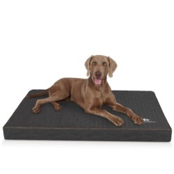 Knuffelwuff orthopädische Hundematte Palomino aus laser-gestepptem Kunstleder schwarz L