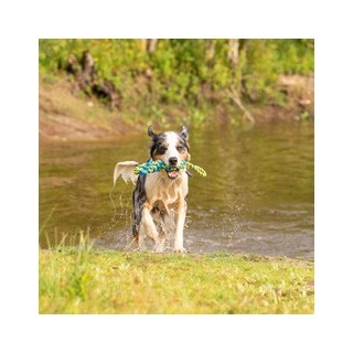 Hunde-Wasserspielzeug Tug Rope blau, Gr. S, Maße: ca. 38 x 5 x 5 cm