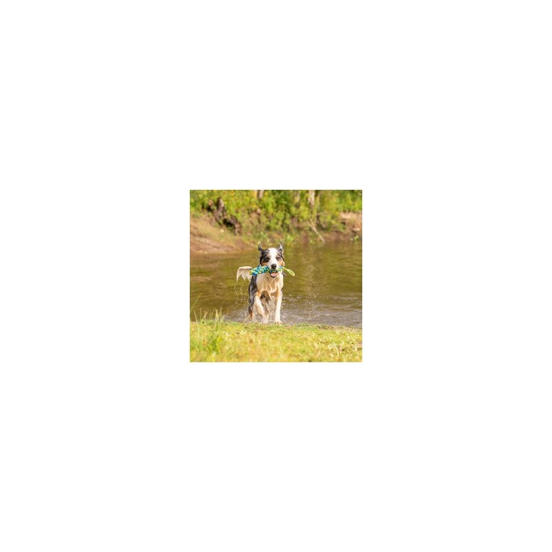 Hunde-Wasserspielzeug Tug Rope blau, Gr. S, Maße: ca. 38 x 5 x 5 cm