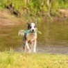 Hunde-Wasserspielzeug Tug Rope blau, Gr. S, Maße: ca. 38 x 5 x 5 cm