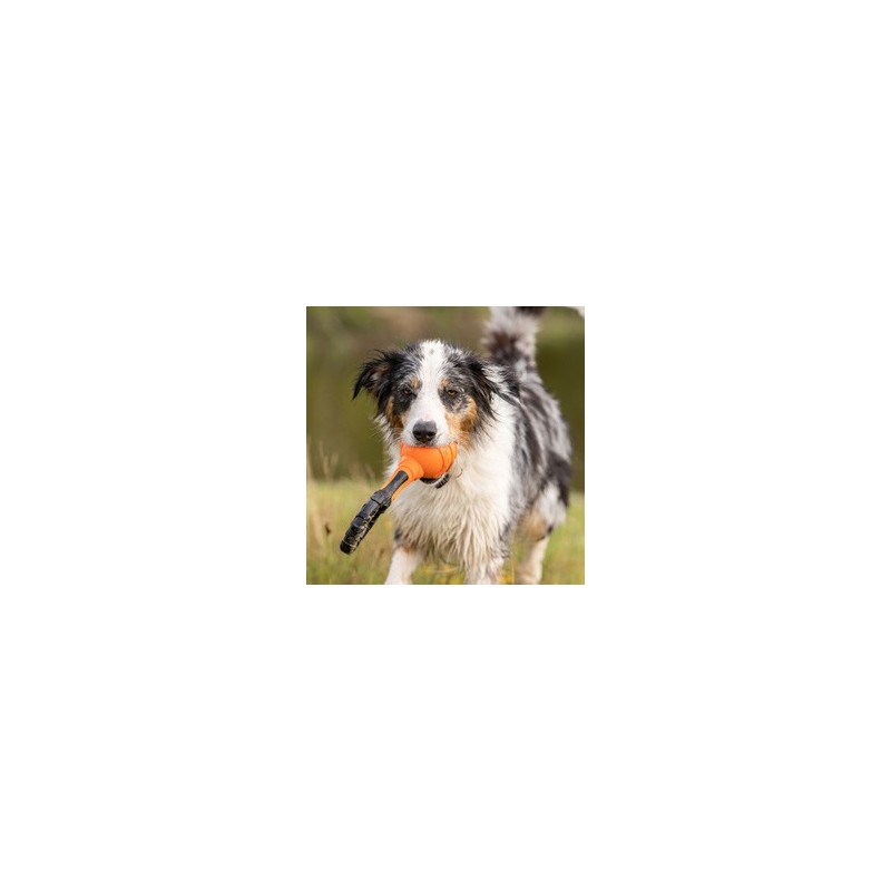 Hundespielzeug Griff-Ball schwarz, Länge: ca. 26 cm