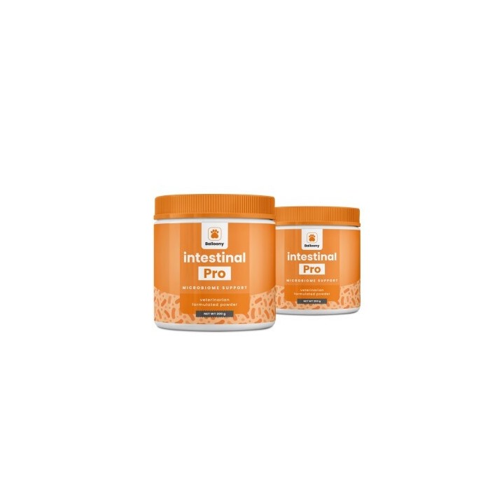 German Shephy Darmpulver Intestinal Pro 400 g