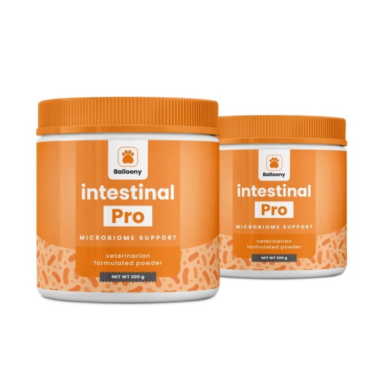 German Shephy Darmpulver Intestinal Pro 400 g