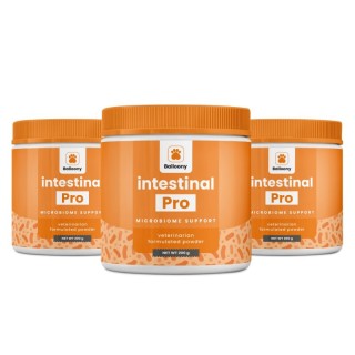 German Shephy Darmpulver Intestinal Pro 600 g