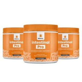 German Shephy Darmpulver Intestinal Pro 600 g