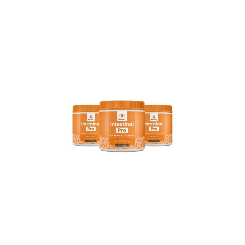 German Shephy Darmpulver Intestinal Pro 600 g