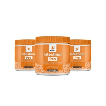 German Shephy Darmpulver Intestinal Pro 600 g