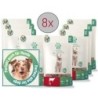 Fellicita Rind Fleischstreifen 8x 50g Fellonis Hundesnacks