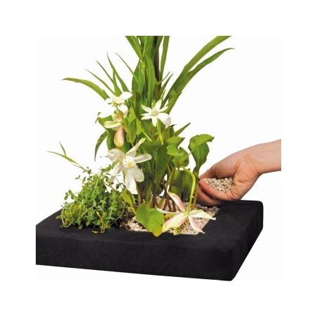 Velda Floating Plant Island eckig 35 cm