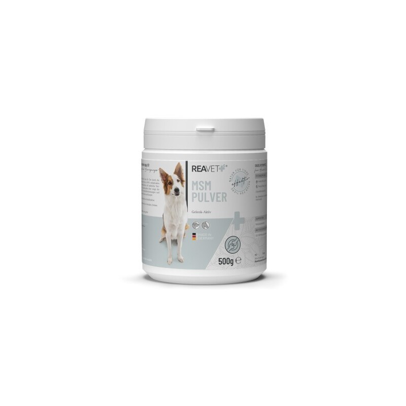 REAVET MSM Pulver 500g