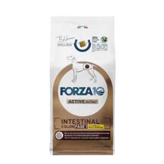 Forza 10 Intestinal Colon Phase 1 mit Lamm - 10 kg