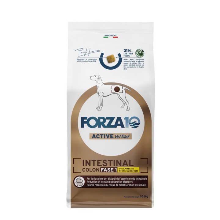 Forza 10 Intestinal Colon Phase 1 mit Lamm - 10 kg