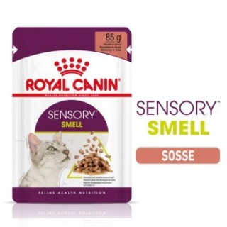 ROYAL CANIN Sensory Smell in Soße für wählerische Katzen 12x85 g
