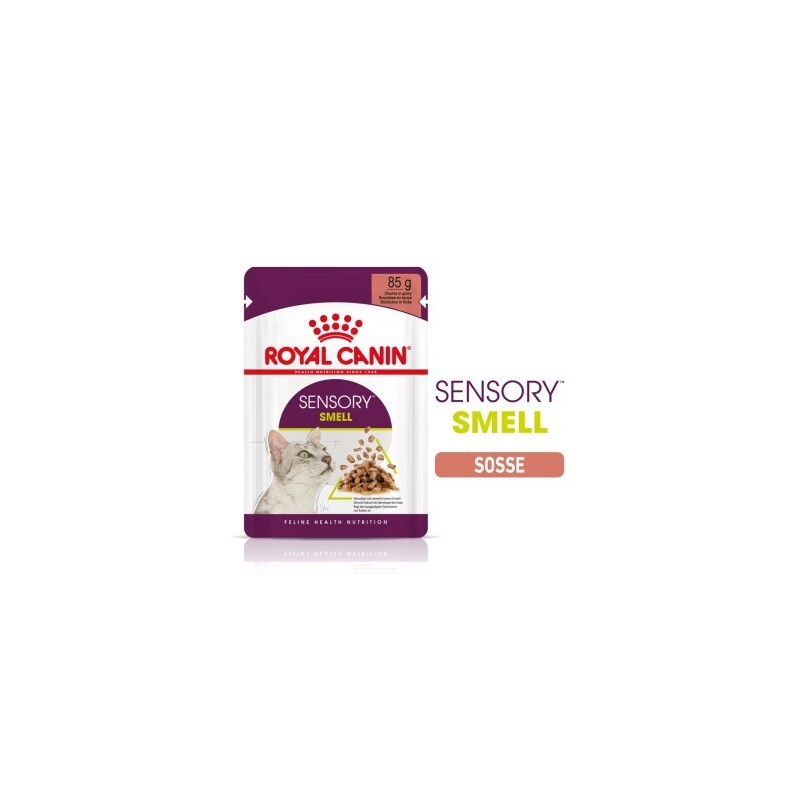 ROYAL CANIN Sensory Smell in Soße für wählerische Katzen 12x85 g