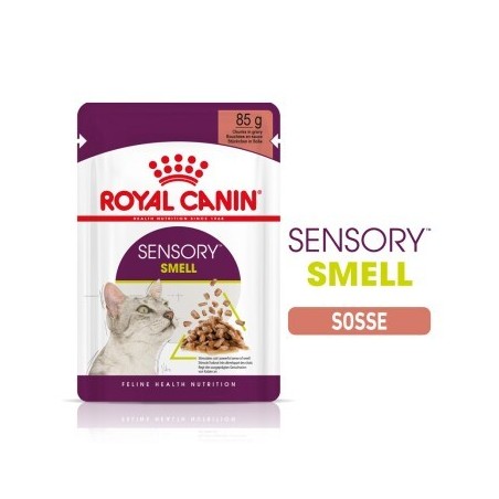 ROYAL CANIN Sensory Smell in Soße für wählerische Katzen 12x85 g