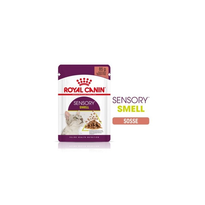 ROYAL CANIN Sensory Smell in Soße für wählerische Katzen 12x85 g