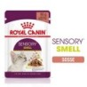 ROYAL CANIN Sensory Smell in Soße für wählerische Katzen 12x85 g