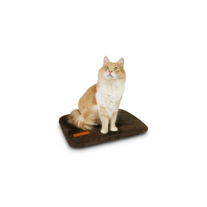 Schlitzohr Fensterbankliege Teddy stabil