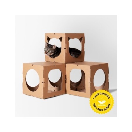 DoPetMe Katzenhaus The Kitten Castle
