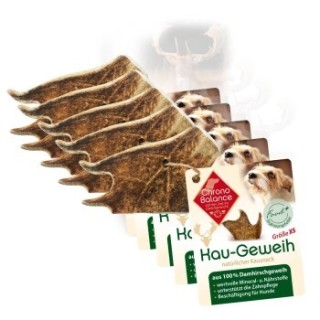 ChronoBalance natürliches Damhirsch Kaugeweih 5xXS, 5x