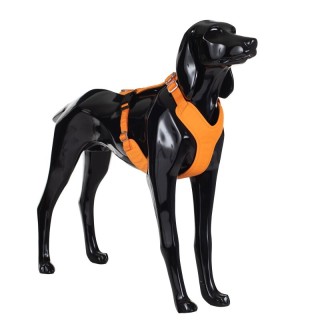 Paikka Visibility Harness orange M