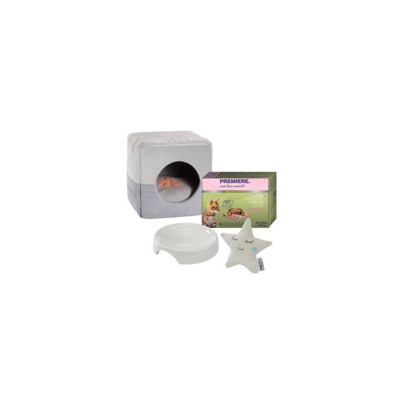 AniOne New Kitten Starter Set