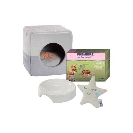 AniOne New Kitten Starter Set