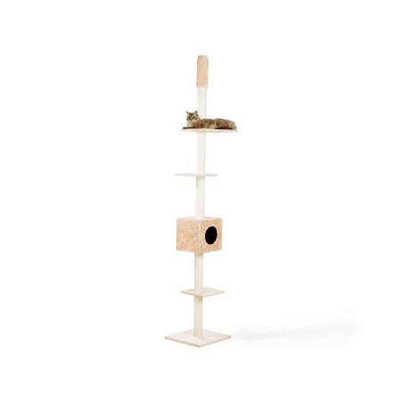 FIT+FUN Deckenspanner