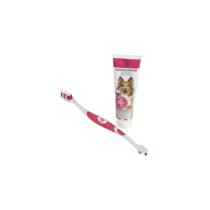 TAKE CARE Zahnpflege Set