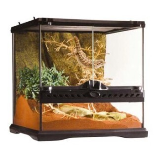 Exo Terra Glasterrarium