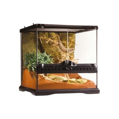 Exo Terra Glasterrarium