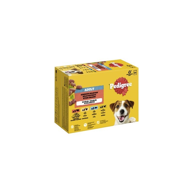 Pedigree Nassfutter Hund Adult, Multipack, Gemischte-Selektion mit Gemüse, in Sauce 12x100 g