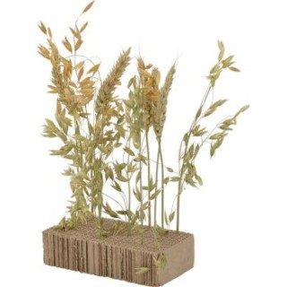 AniOne my pet & me Snackboard