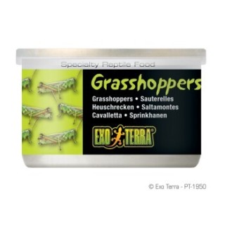 Exo Terra Heuschrecken 34g