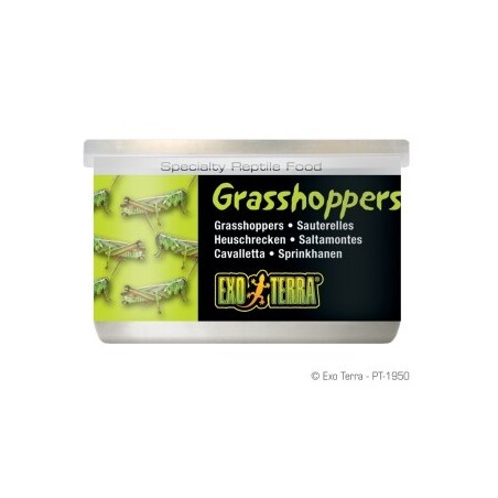 Exo Terra Heuschrecken 34g