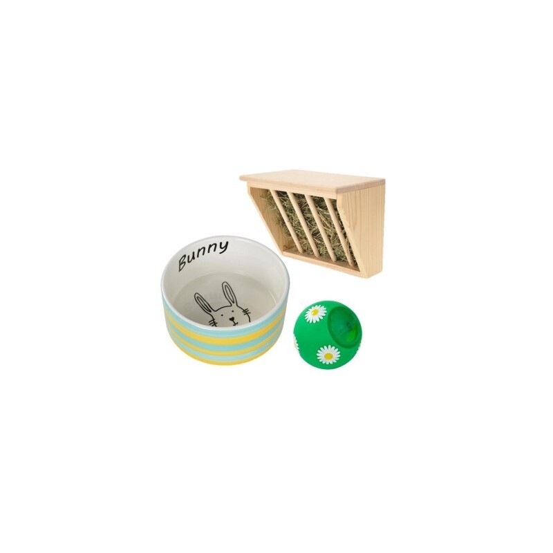 AniOne Zwergkaninchen Set