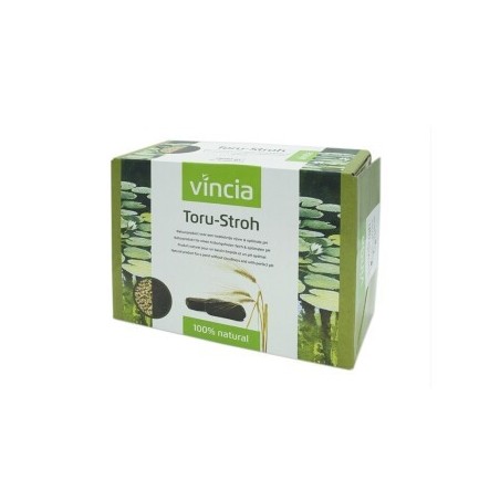 Velda Toru Stroh