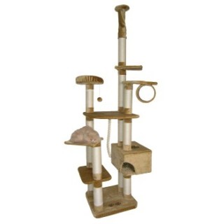 Josty Kratzbaum VIP 1000 beige