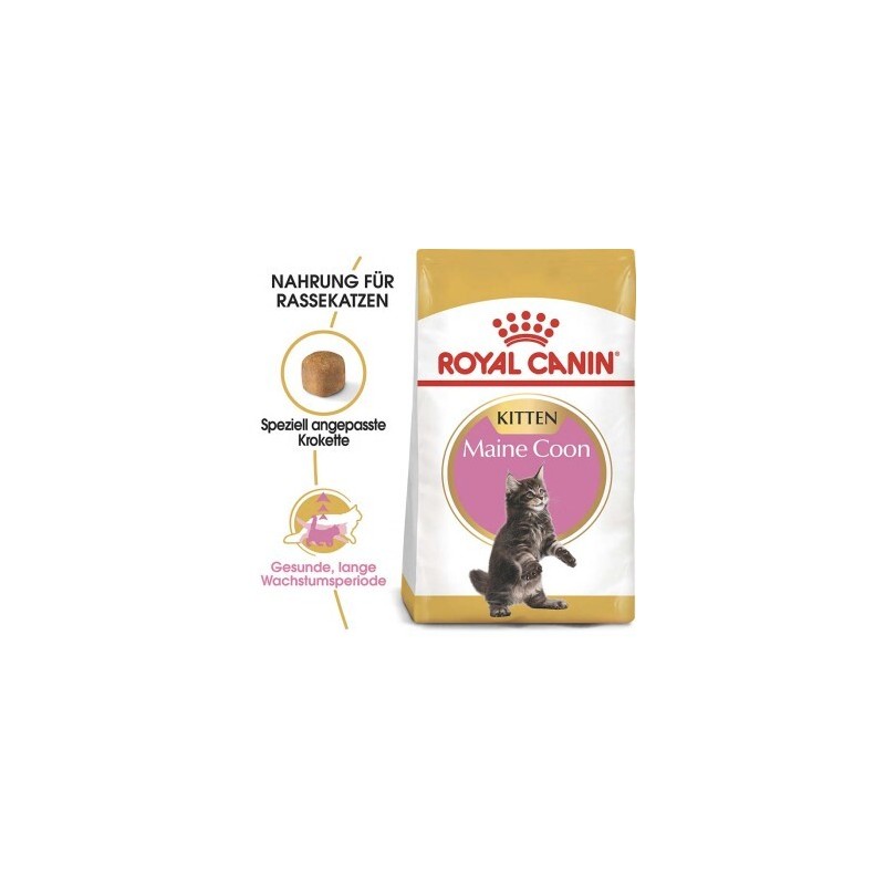 ROYAL CANIN Maine Coon Kitten 4 kg