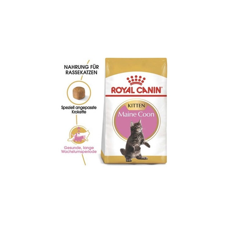 ROYAL CANIN Maine Coon Kitten 4 kg