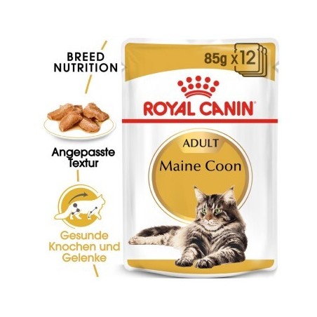 ROYAL CANIN Maine Coon Adult in Soße 12x85 g