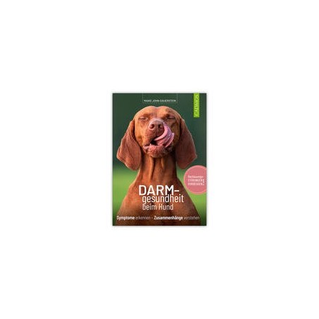 DARM-gesundheit beim Hund