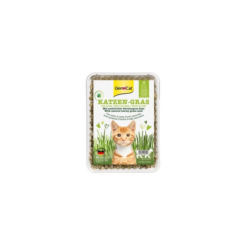 GimCat Katzengras 150g